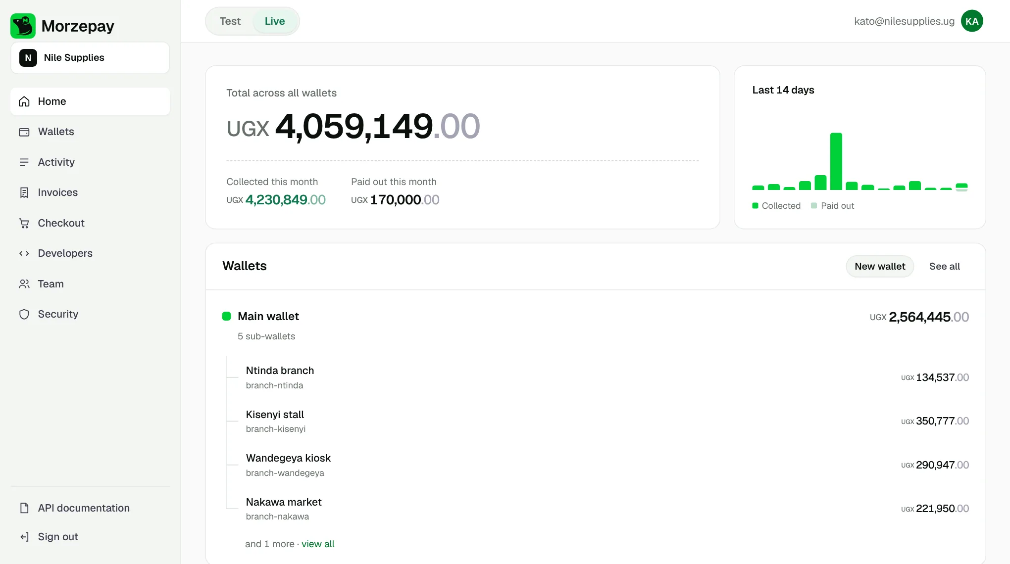 Morzepay dashboard: the total across all wallets and a main wallet with a sub-wallet for each branch, each with its own balance.